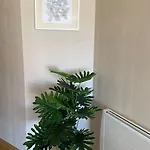 Apartament Costa Da Morte Con Vistas, Garaje Y Piscina Malpica de Bergantiños