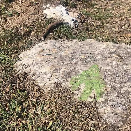 Costa Da Morte Con Vistas, Garaje Y Piscina